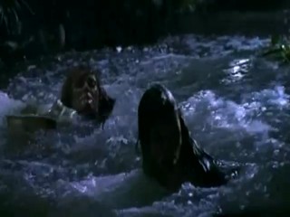 Amazon The Fierce Ones