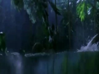 Amazon The Fierce Ones