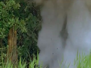 Amazon A Bible and a Gun