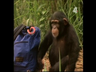 Tarzan and the Enemy Within - Part 2 (messy)