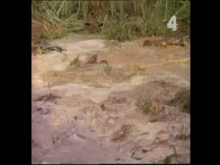 Tarzan and the Enemy Within - Part 2 (messy)