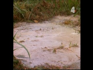 Tarzan and the Enemy Within - Part 2 (messy)