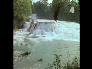 Tarzan - Savage Storm