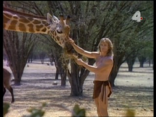 Tarzan and the Mysterious Sheik