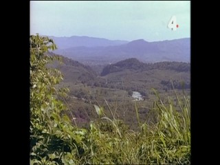 Tarzan and the Stoneman