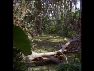 Tarzan and the Stoneman