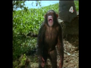 Tarzan and the Night Horrors