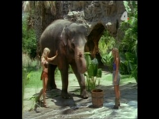 Tarzan and the Polluted River