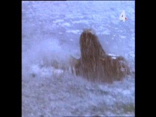 Tarzan and the Mating Season