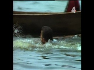 Tarzan's Dangerous Journey