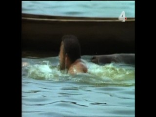 Tarzan's Dangerous Journey