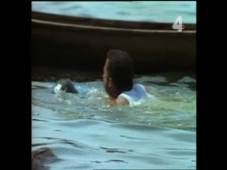 Tarzan's Dangerous Journey