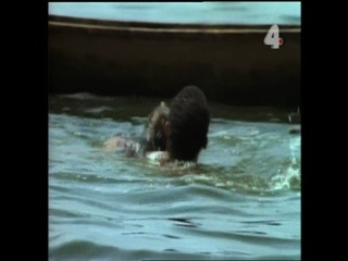 Tarzan's Dangerous Journey