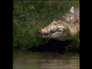 Tarzan and the Mutant Creature - Part 1