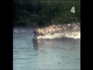 Tarzan and the Mutant Creature - Part 1