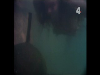 Tarzan and the Mutant Creature - Part 2