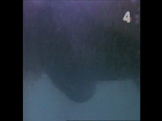 Tarzan and the Orphan