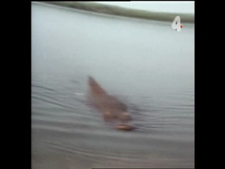 Tarzan and the Deadly Delusions