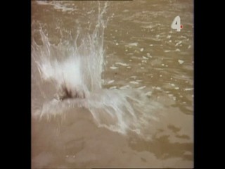 Tarzan and the Caves of Darkness