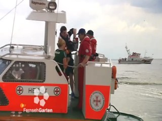 Fernsehgarten 2012-06-17