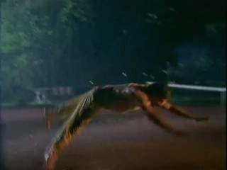 Das Erbe Der  Guldenburgs - Die Goldene Kette