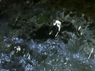 Der Augenblick Der Begierde