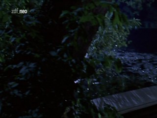 Der HeckenschÃ¼tze