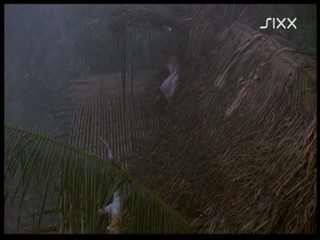 Return to the Blue Lagoon