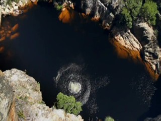 Johanna Und Der Buschpilot