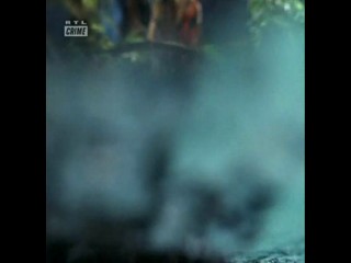 Balko - Mord Unter Palmen