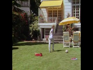 Das Erbe Der Guldenburgs - Das Schnelle Geld