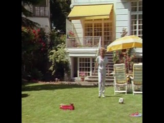 Das Erbe Der Guldenburgs - Das Schnelle Geld