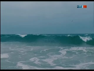 An Imaginary Portrait of Diane Arbus