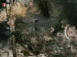 The Land That Time Forgot