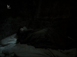 Das unbezaehmbare Herz