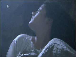 Das unbezaehmbare Herz