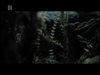 Ihr Brief zur Hochzeit