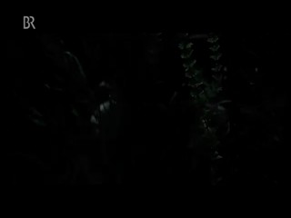 Ihr Brief zur Hochzeit