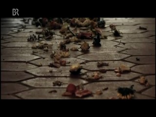 Ihr Brief zur Hochzeit