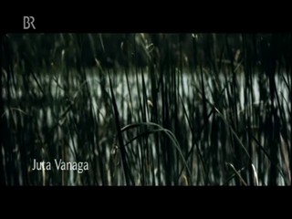 Ihr Brief zur Hochzeit