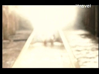 Tommy,  Travel Channel Shows