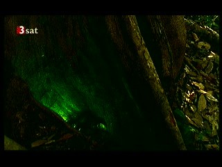 Eclipse (German movie)