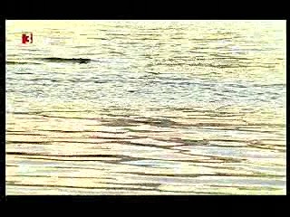 Eclipse (German movie)