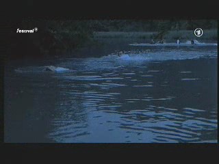 Margarete Steiff, German Movie