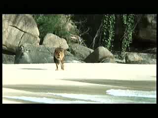 Tarzan the Ape Man (1981) scene# 3/9