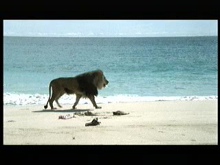 Tarzan the Ape Man (1981) scene# 3/9