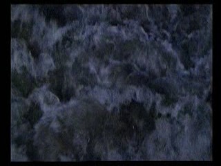 The Hairdresser's Husband