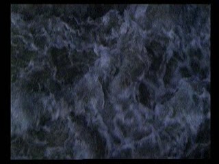 The Hairdresser's Husband