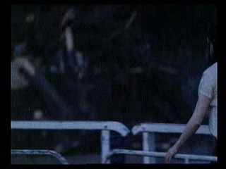 The Hairdresser's Husband