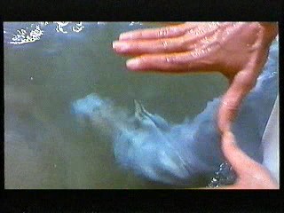 Mes nuits sont plus belles ... - clip#2